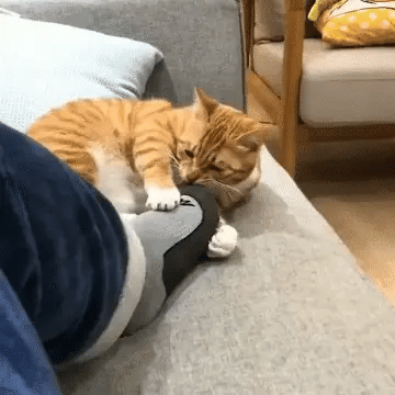 💨👟 PARCHE PARA CALZADO PARA EL MAL OLOR 🌿 CAJA X 10 UNIDADES – ¡OLOR FRESCO EN CADA PASO!