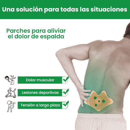 Parches para el dolor lumbar - CAJA X 10 PARCHES